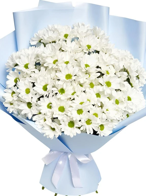 Papatya Buketi